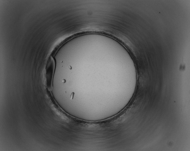 X0000101191030200807181506