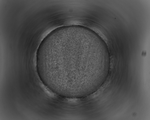 X0000101191031200807181506
