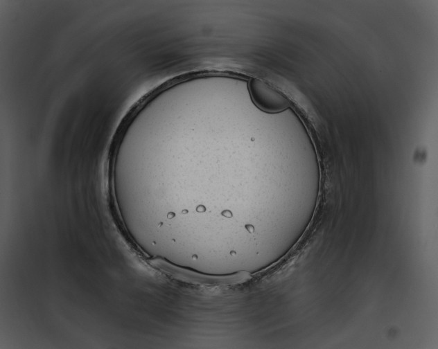 X0000101191032200807181506
