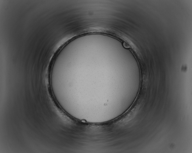 X0000101191034200807181506