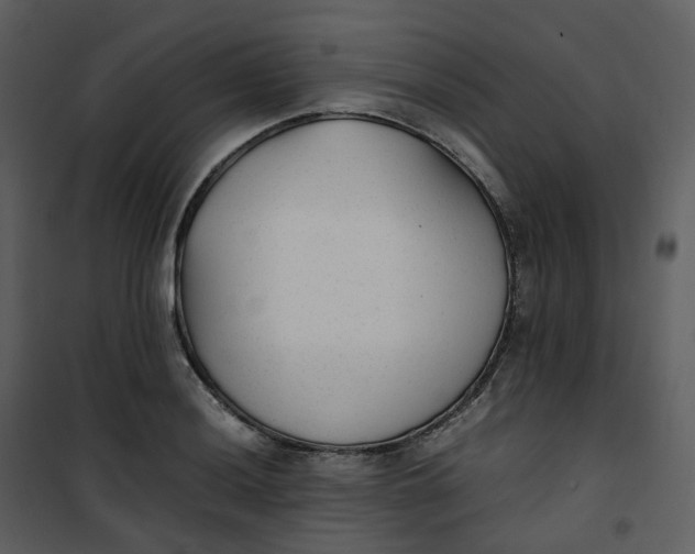 X0000101191036200807181506