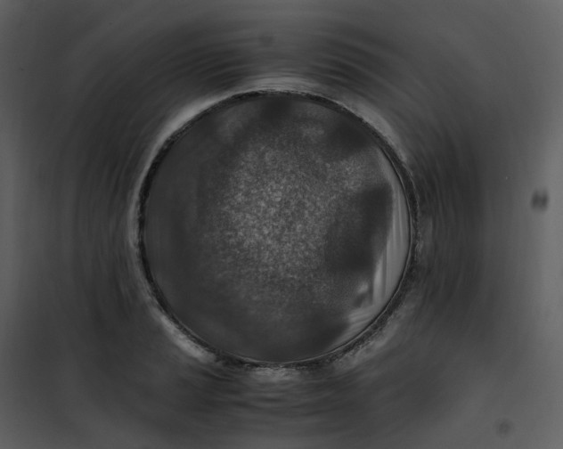 X0000101191037200807181506