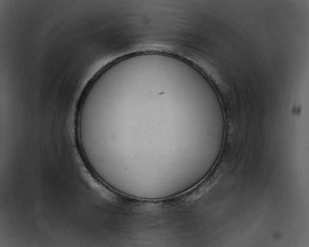 X0000101191038200807181506