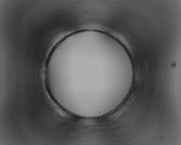 X0000101191040200807181506