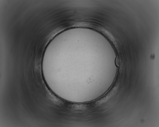 X0000101191041200807181506