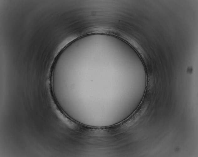 X0000101191042200807181506