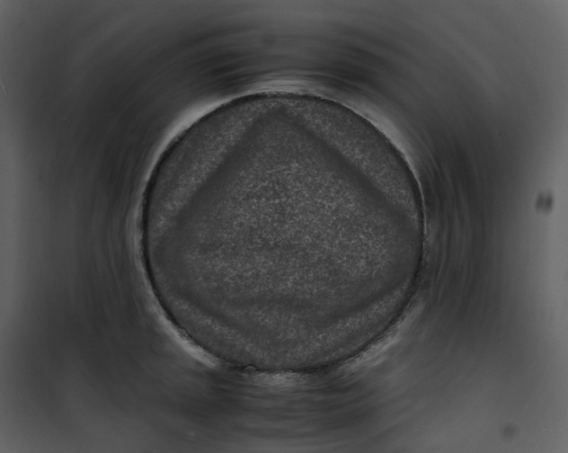 X0000101191045200807181506