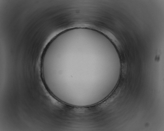 X0000101191046200807181506