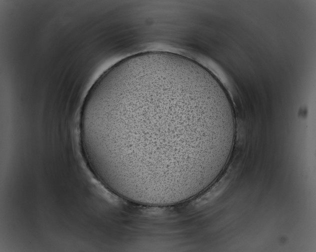 X0000101191048200807181506