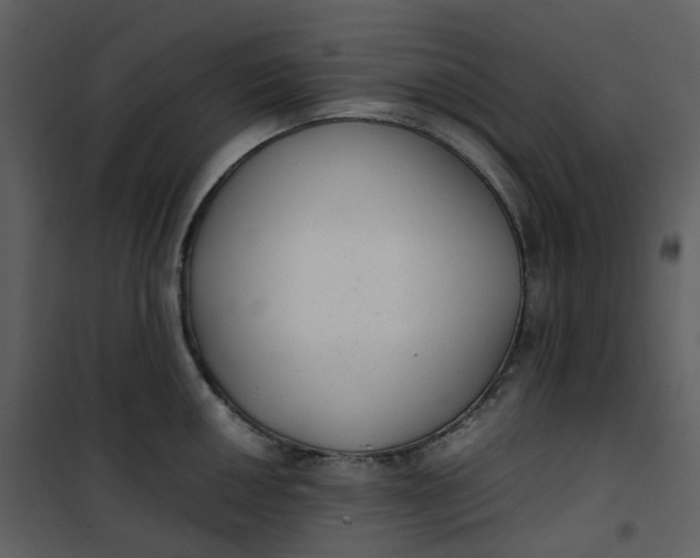 X0000101191050200807181506