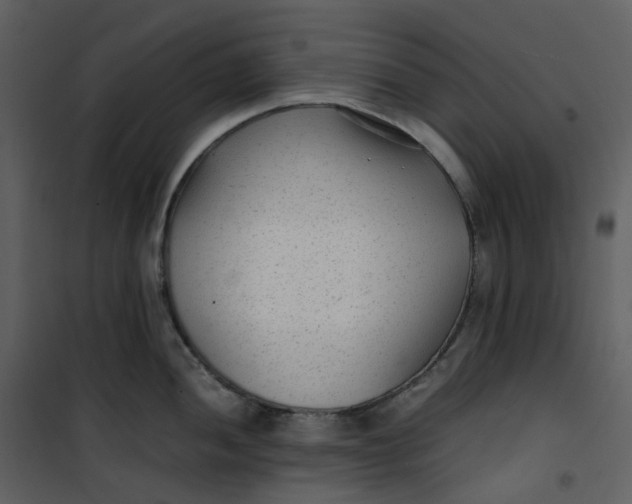 X0000101191052200807181506