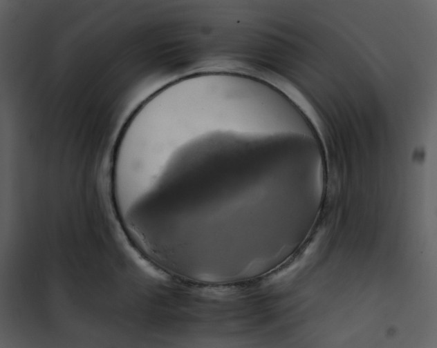 X0000101191053200807181506