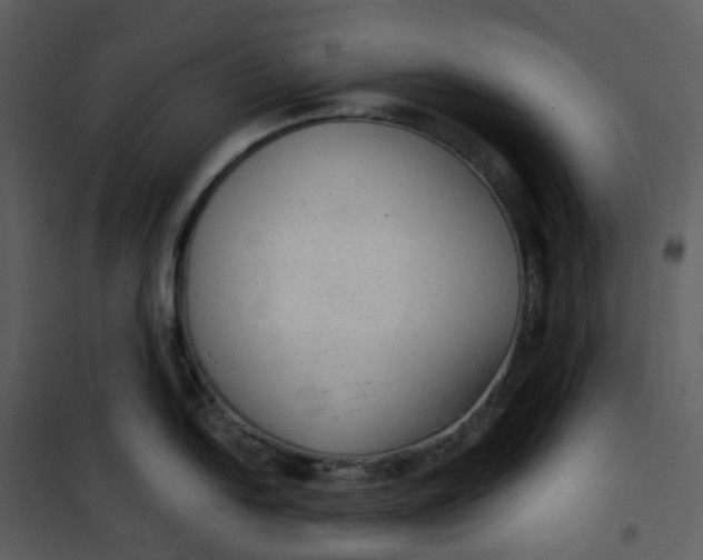 X0000101191054200807181506