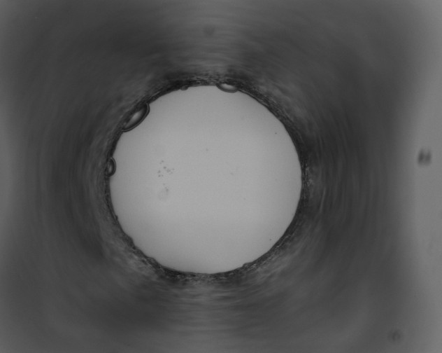 X0000101191057200807181506