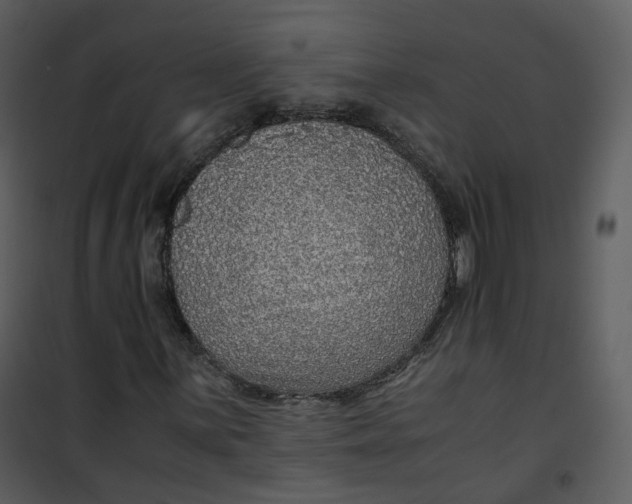 X0000101191059200807181506