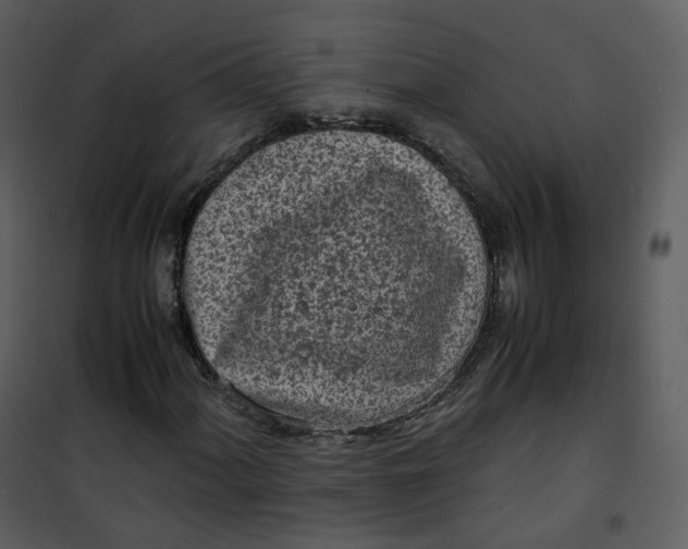 X0000101191060200807181505