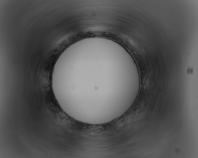 X0000101191062200807181505