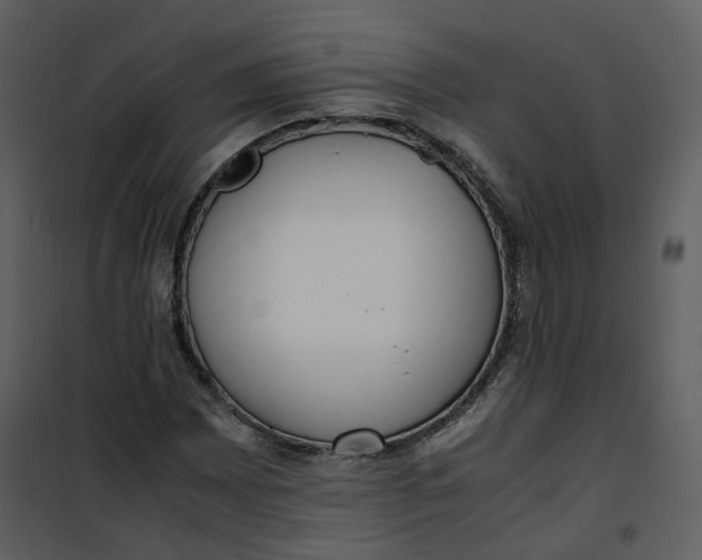 X0000101191065200807181505