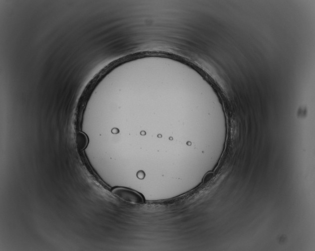 X0000101191068200807181505