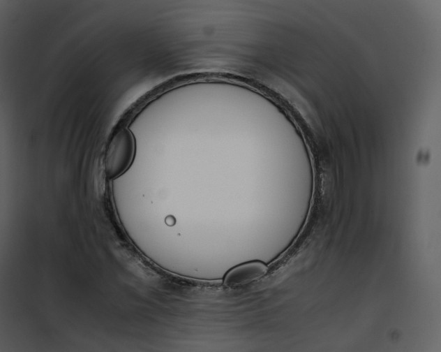 X0000101191069200807181505