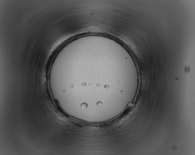 X0000101191070200807181505
