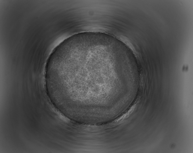 X0000101191071200807181505
