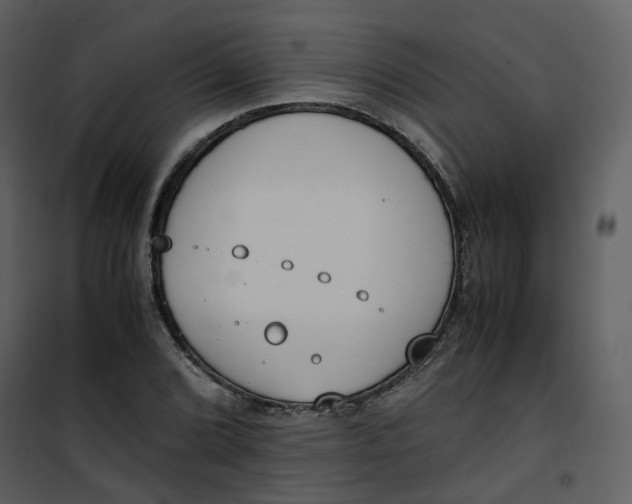 X0000101191072200807181505