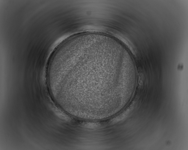 X0000101191074200807181505