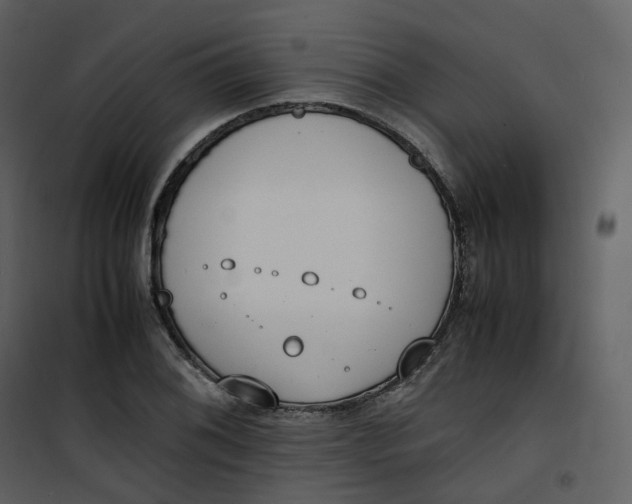 X0000101191076200807181505