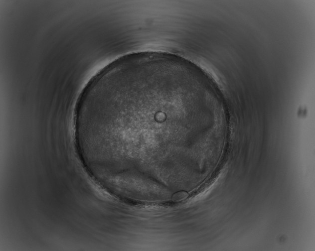 X0000101191077200807181505