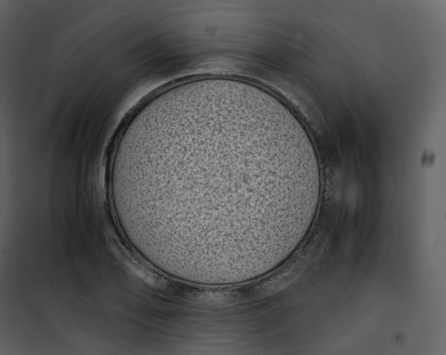 X0000101191078200807181505