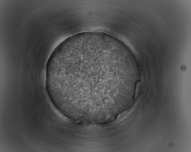 X0000101191079200807181505