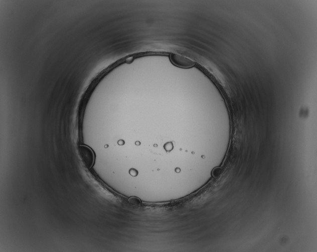 X0000101191080200807181505