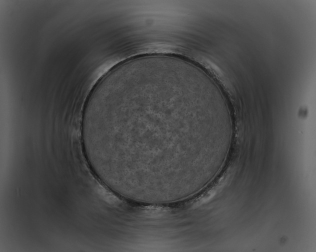 X0000101191081200807181505