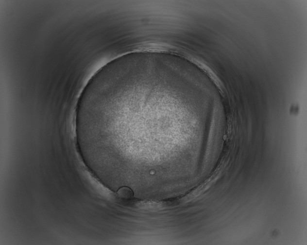 X0000101191083200807181505