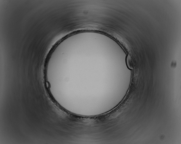 X0000101191085200807181505