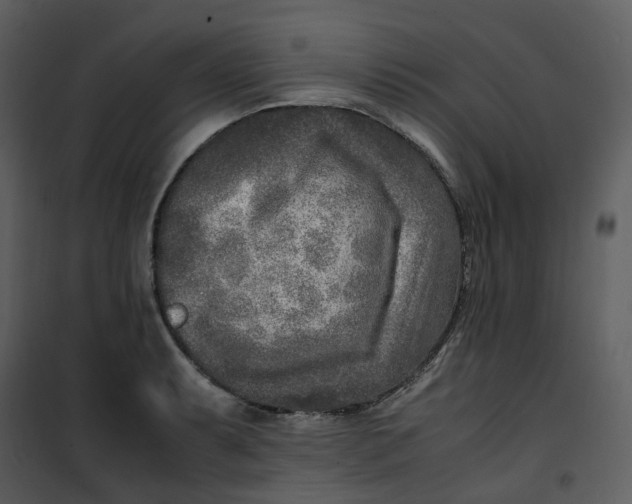 X0000101191087200807181505