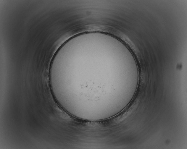 X0000101191089200807181505