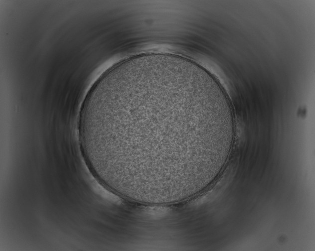 X0000101191090200807181505