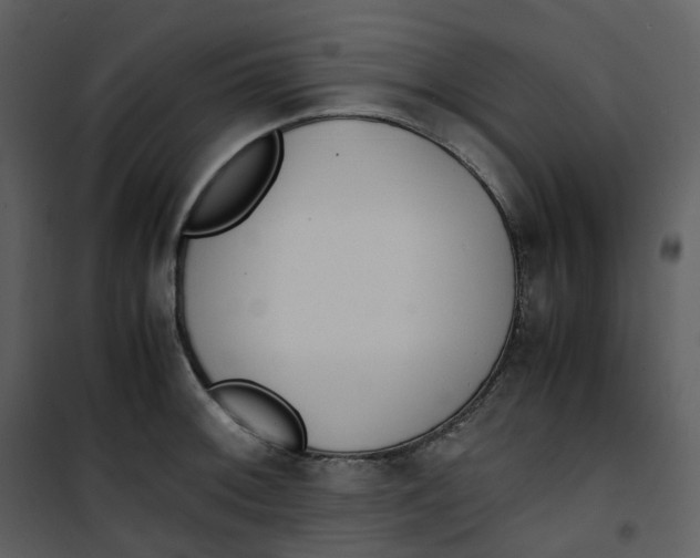 X0000101191092200807181505