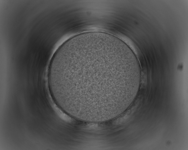 X0000101191098200807181505