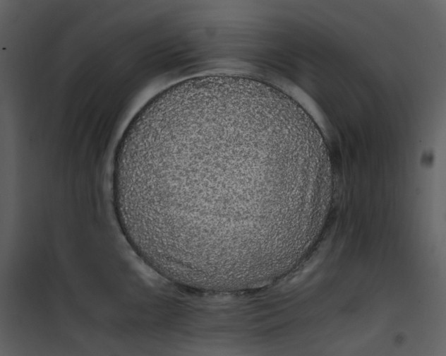 X0000101191099200807181505