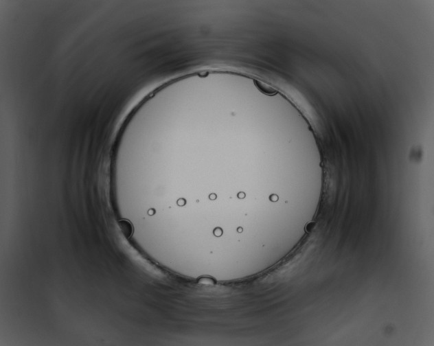 X0000101191100200807181505