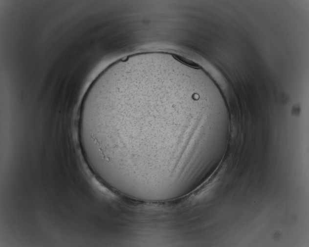 X0000101191102200807181505