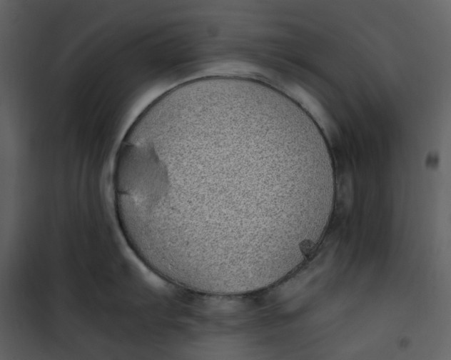 X0000101191103200807181505