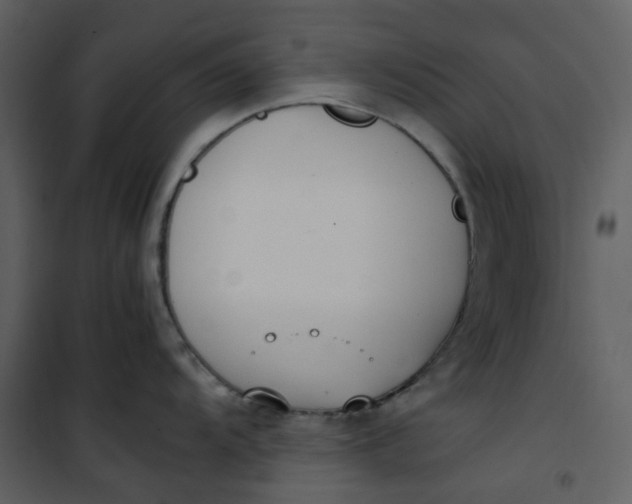 X0000101191104200807181505