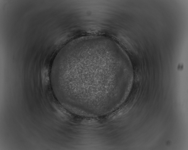 X0000101191106200807181504
