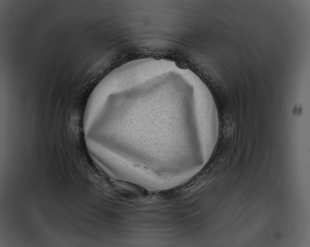 X0000101191108200807181504