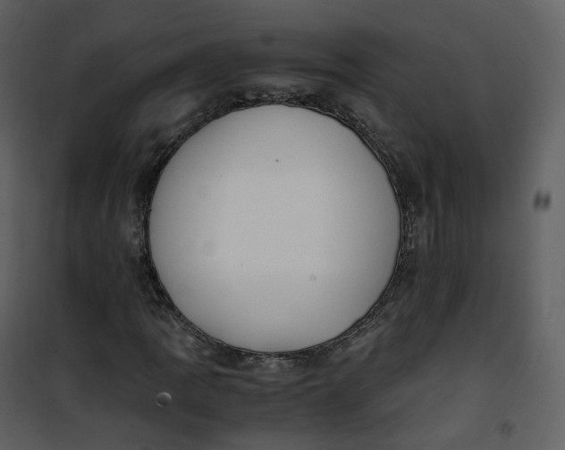 X0000101191109200807181504