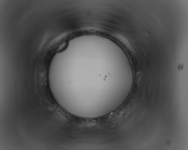 X0000101191111200807181504